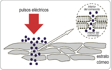 Mesoterapia electro pulsos